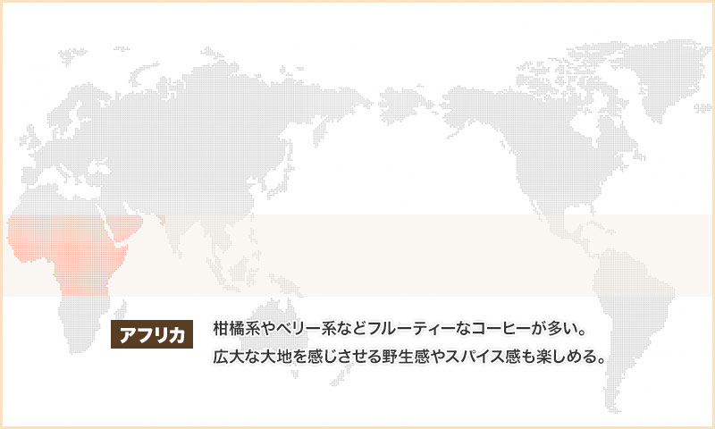 アフリカ