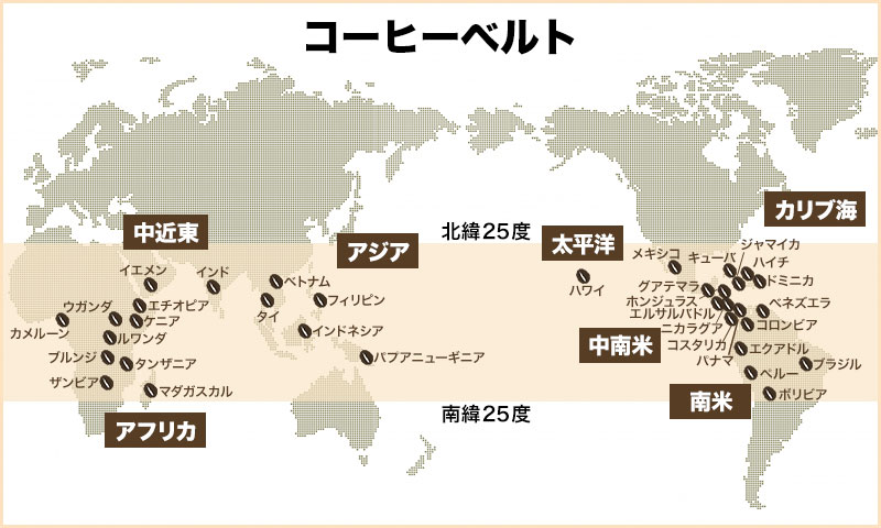 コーヒー生産地ごとの特徴で選ぶ