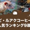 コピ・ルアクコーヒーの人気おすすめランキング9選！
