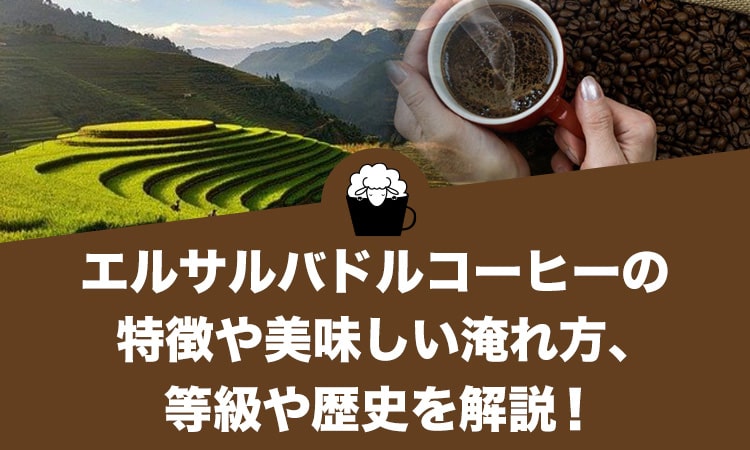 エルサルバドルコーヒー 特徴 淹れ方