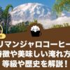 キリマンジャロコーヒーの特徴や美味しい淹れ方、等級や歴史を解説！