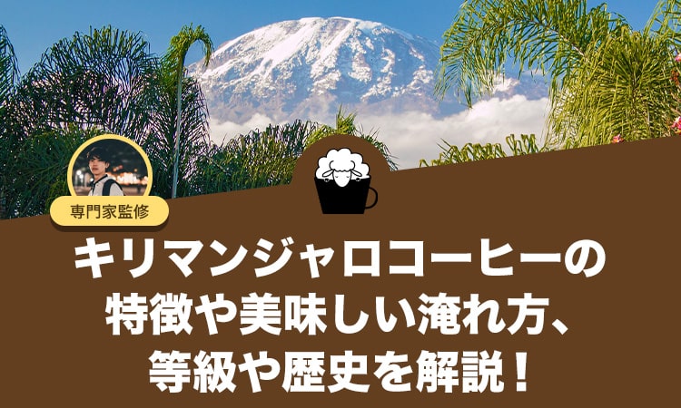 キリマンジャロコーヒーの特徴や美味しい淹れ方、等級や歴史を解説！
