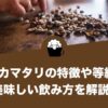 モカマタリの特徴や等級、美味しい飲み方を解説！おすすめコーヒーも紹介