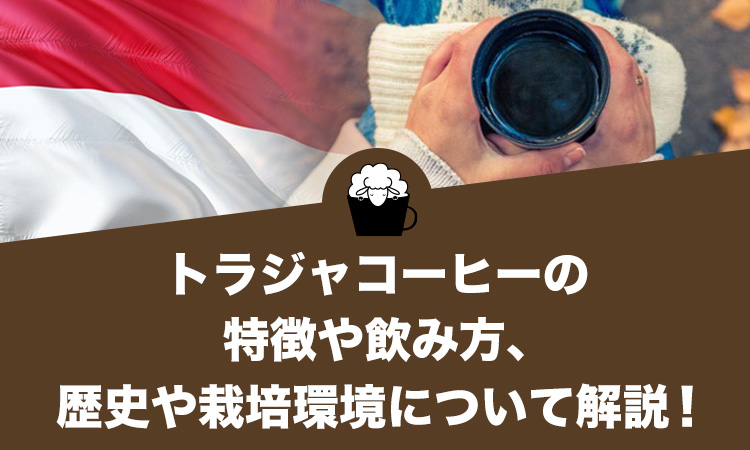 トラジャコーヒーの特徴や飲み方、歴史や栽培環境について解説