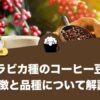 アラビカ種とは？コーヒー豆の特徴や品種、栽培環境を解説