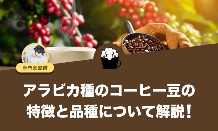 アラビカ種とは？コーヒー豆の特徴や品種、栽培環境を解説