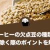 コーヒーの欠点豆
