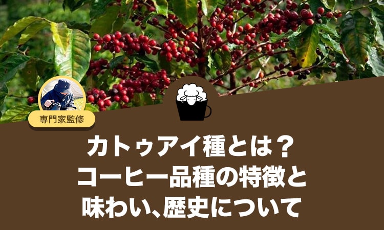 カトゥアイ種とは？コーヒー品種の特徴と味わい、歴史について