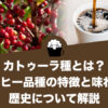 カトゥーラ種とは？コーヒー品種の特徴と味わい、歴史について