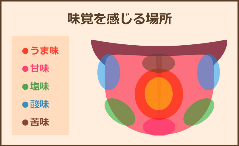味の感じ方