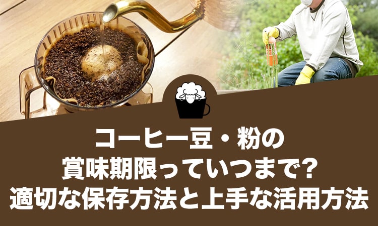 コーヒー豆・粉の賞味期限っていつまで？適切な保存方法と上手な活用方法