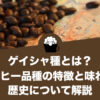 ゲイシャ種とは？コーヒー品種の特徴と味わい、歴史について