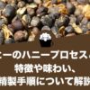 コーヒーのハニープロセス（パルプドナチュラル、半水洗式）とは？特徴や味わい、精製手順について