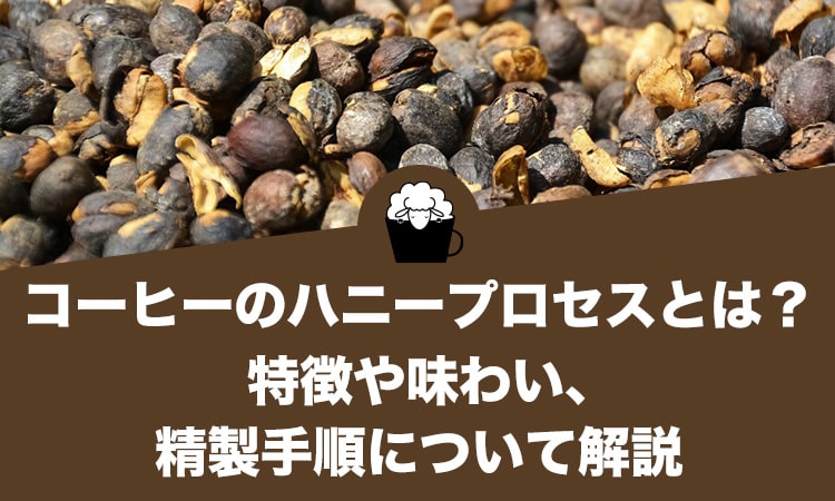 コーヒーのハニープロセス（パルプドナチュラル、半水洗式）とは？特徴や味わい、精製手順について