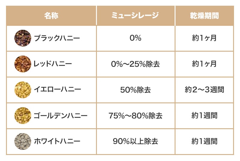 コーヒーのハニープロセスの種類