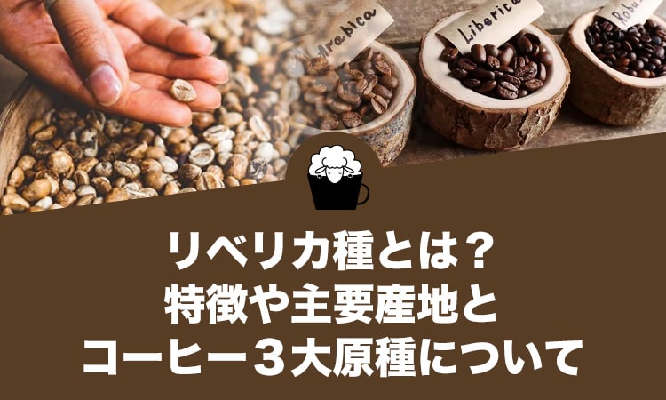 リベリカ種とは？特徴や主要産地とコーヒー３大原種について