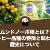 ムンドノーボ種とは？コーヒー品種の特徴と味わい、歴史について