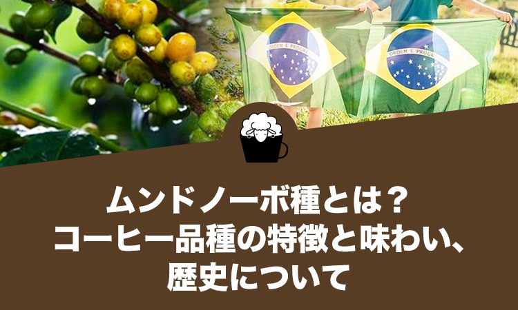 ムンドノーボ種とは？コーヒー品種の特徴と味わい、歴史について