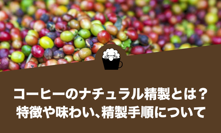 コーヒーのナチュラル精製（非水洗式）とは？特徴や味わい、精製手順について