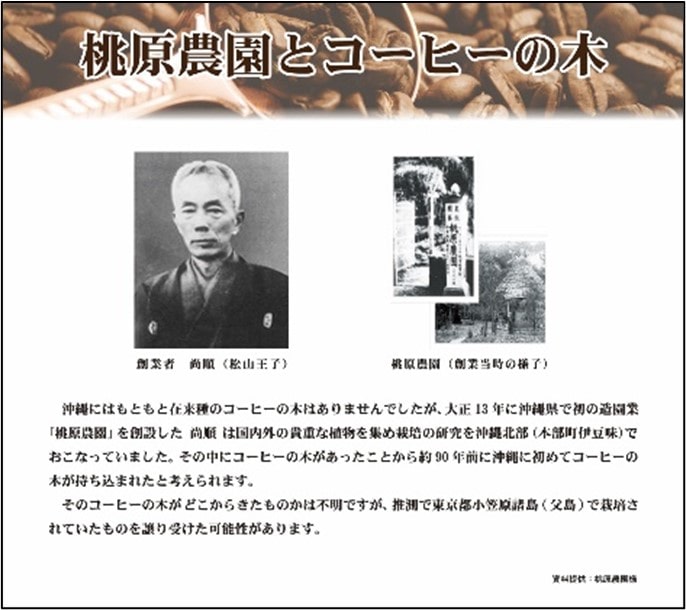 国産コーヒーの歴史