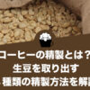 コーヒーの精製とは？生豆を取り出す4種類の精製方法を解説
