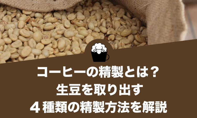 コーヒーの精製とは？生豆を取り出す4種類の精製方法を解説