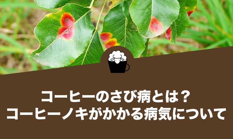 コーヒーのさび病とは？コーヒーノキがかかる病気について