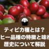 ティピカ種とは？コーヒー品種の特徴と味わい、歴史について