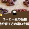 コーヒー豆の品種