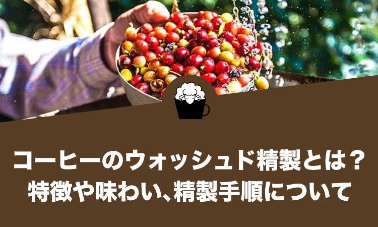 コーヒーのウォッシュド精製（水洗式）とは？特徴や味わい、精製手順について