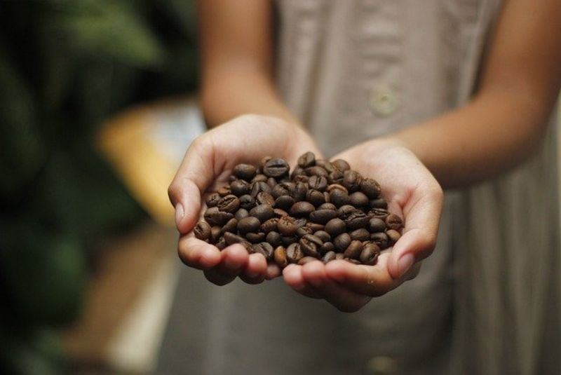 coffeebeans_022