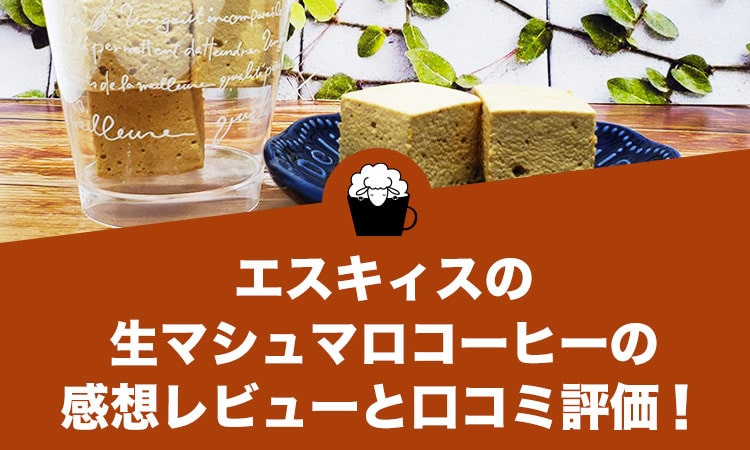 エスキィスの生マシュマロコーヒーの感想レビューと口コミ評価！