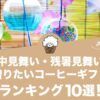 暑中見舞い・残暑見舞いに贈りたいコーヒーギフトおすすめランキング10選！