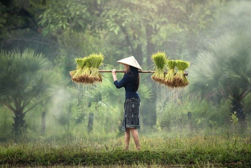 farmer_002