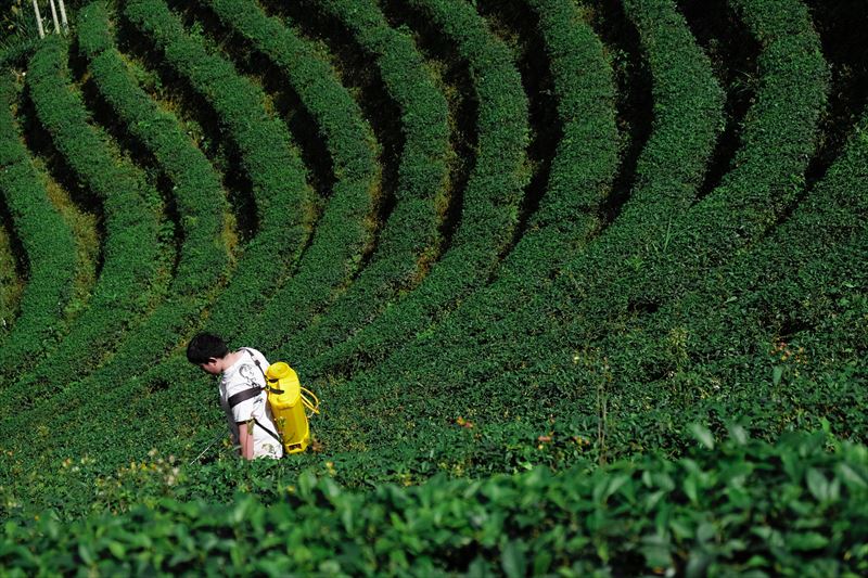 field_038