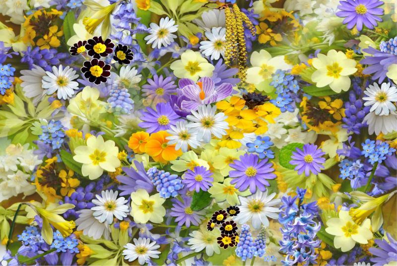 花のような香り
