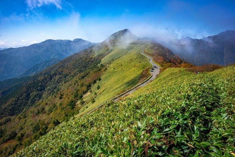 コーヒー栽培地の標高