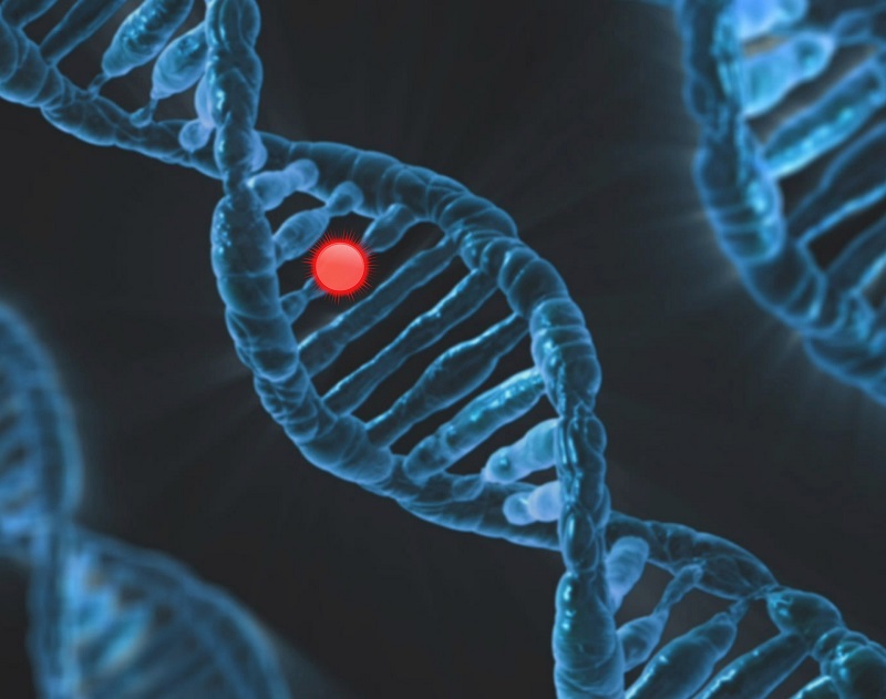 mutation_001