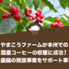 やまこうファームが本州での国産コーヒーの収穫に成功！コーヒー農園の開設事業をサポート事業を開始