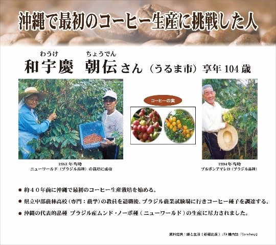 1970年代、国産のコーヒー生産に挑戦