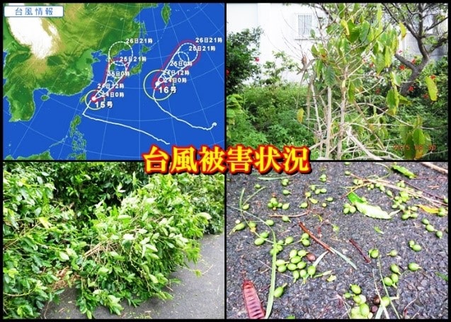 台風被害状況