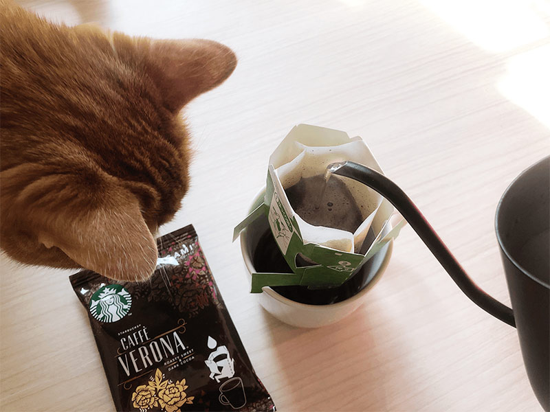 ねことコーヒーとお茶