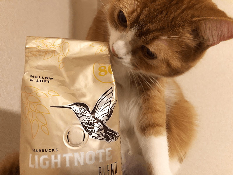 ねことコーヒーとお茶