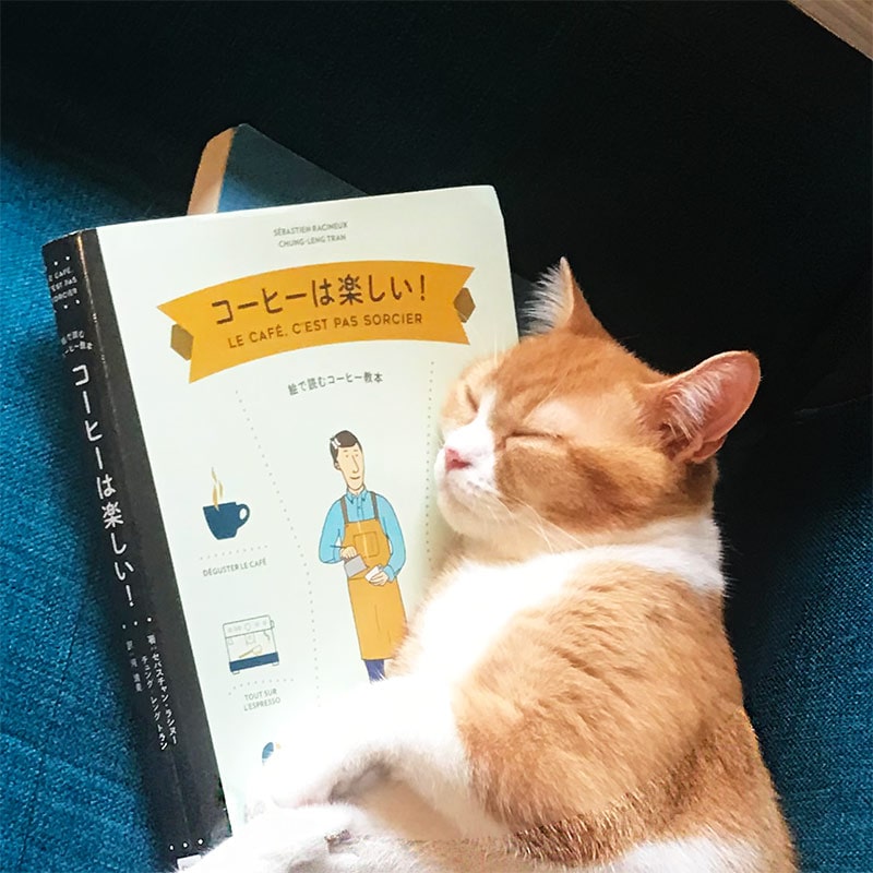 ねことコーヒーとお茶