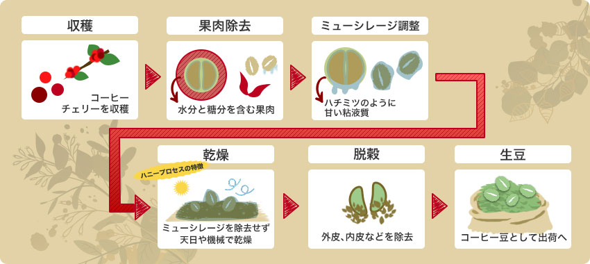 ハニープロセス製法