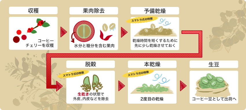 スマトラ式