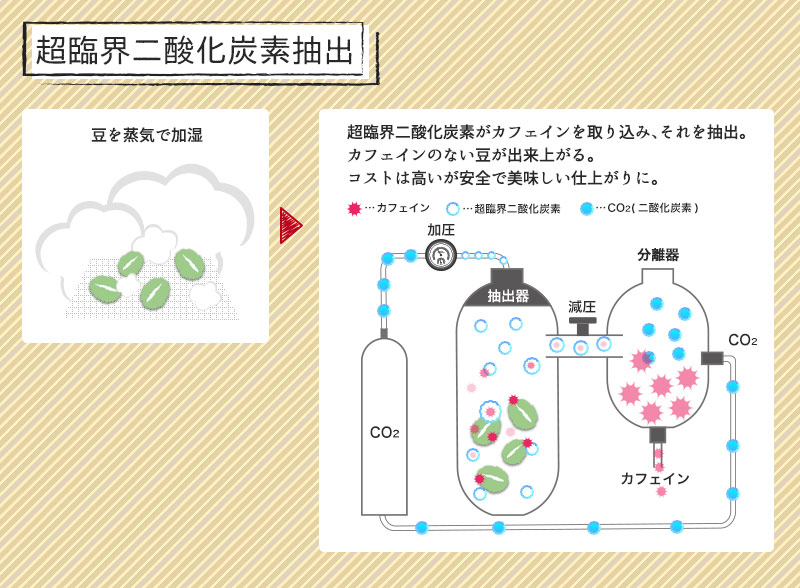 超臨界二酸化炭素抽出