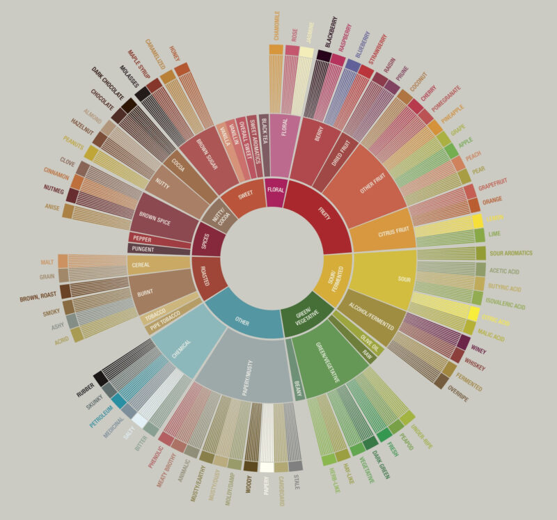 scaa_flavorwheel_up