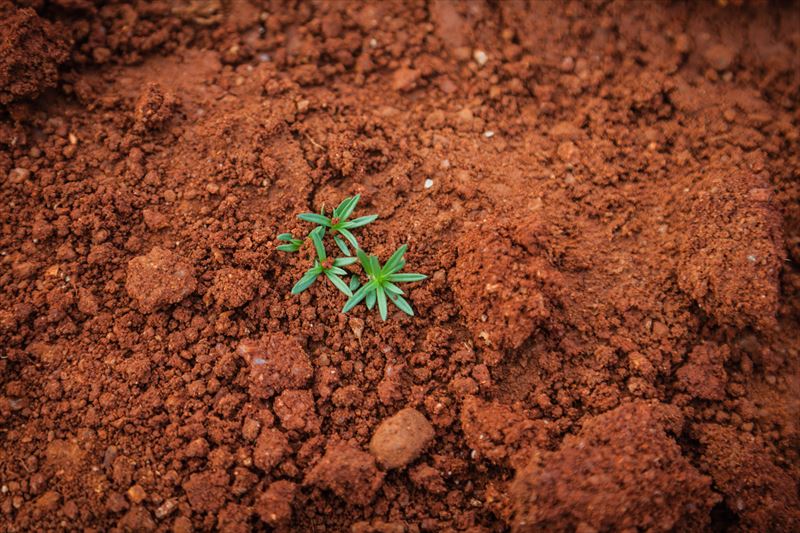 soil_005