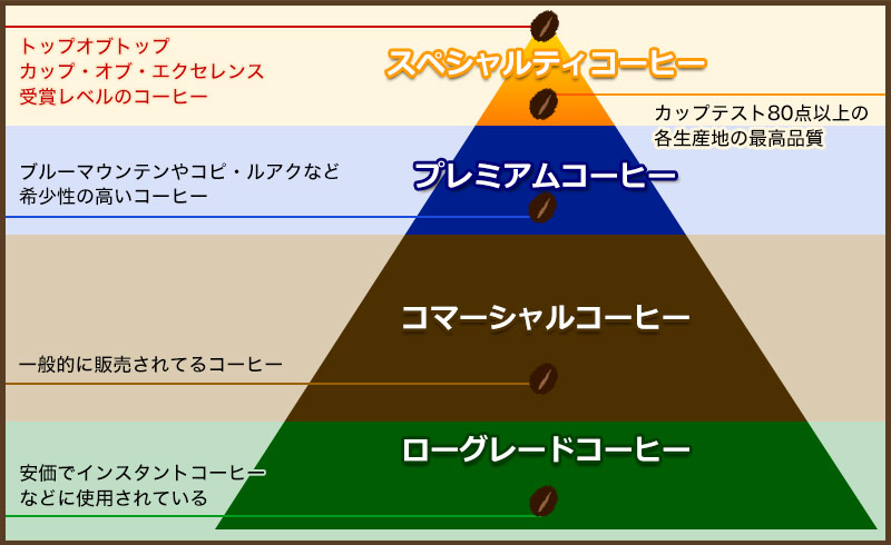 スペシャルティコーヒー